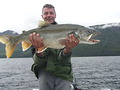 Lake Trout