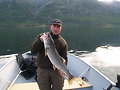 Lake Trout