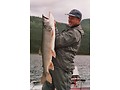 Lake Trout