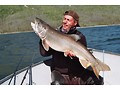 Lake Trout